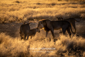 Environmental Photographer Africa
