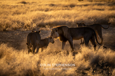 Environmental Photographer Africa