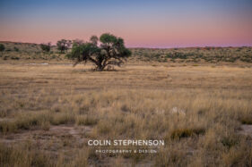Environmental Photographer Africa