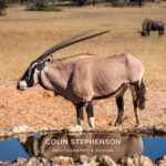 Environmental Photographer Africa