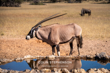 Environmental Photographer Africa