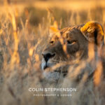 Environmental Photographer Africa