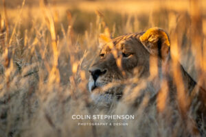 Environmental Photographer Africa