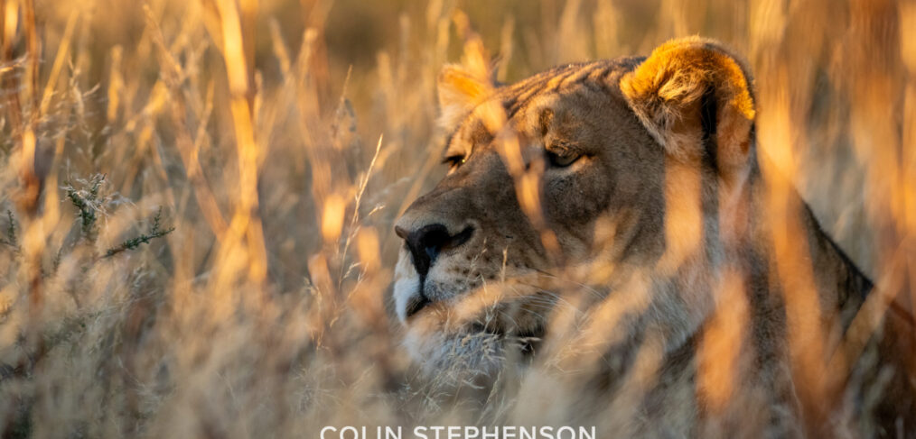 Environmental Photographer Africa