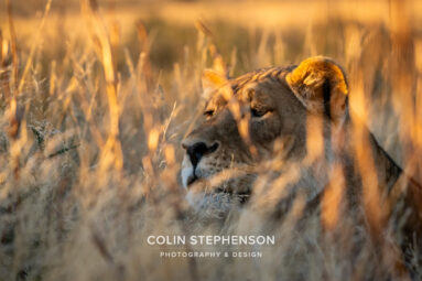 Environmental Photographer Africa