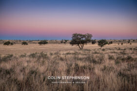 Environmental Photographer Africa