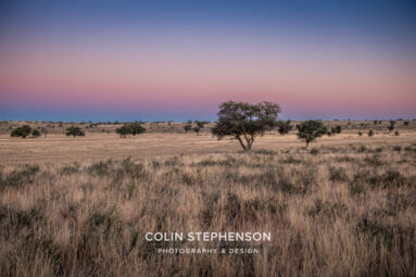 Environmental Photographer Africa