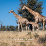 Environmental Photographer Africa