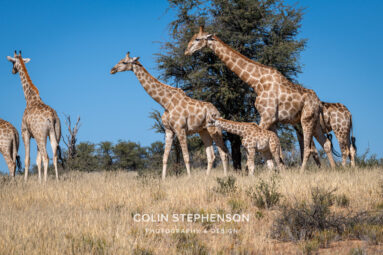 Environmental Photographer Africa
