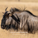 Environmental Photographer Africa