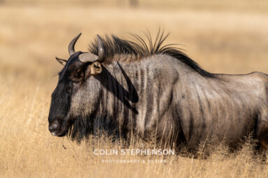 Environmental Photographer Africa