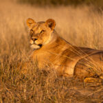 Environmental Photographer Africa