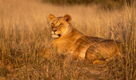Environmental Photographer Africa