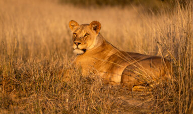 Environmental Photographer Africa