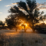 Environmental Photographer Africa