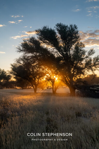 Environmental Photographer Africa