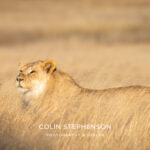 Environmental Photographer Africa