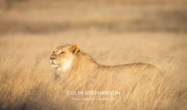 Environmental Photographer Africa