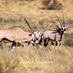 Environmental Photographer Africa