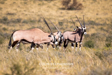 Environmental Photographer Africa