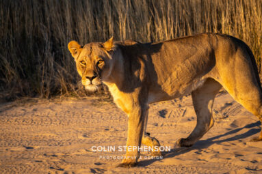 Environmental Photographer Africa