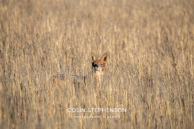 Environmental Photographer Africa