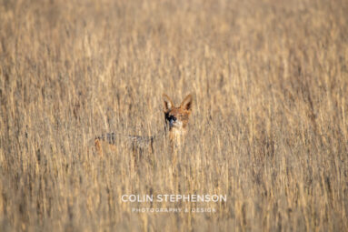 Environmental Photographer Africa