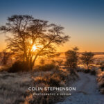 Environmental Photographer Africa
