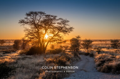 Environmental Photographer Africa