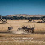 Environmental Photographer Africa