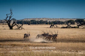 Environmental Photographer Africa