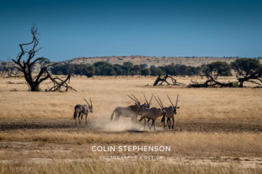 Environmental Photographer Africa