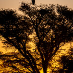 Environmental Photographer Africa