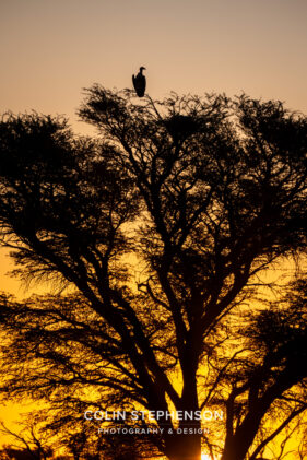 Environmental Photographer Africa