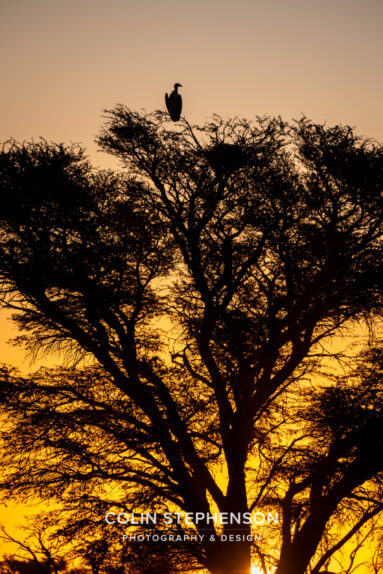 Environmental Photographer Africa