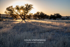 Environmental Photographer Africa