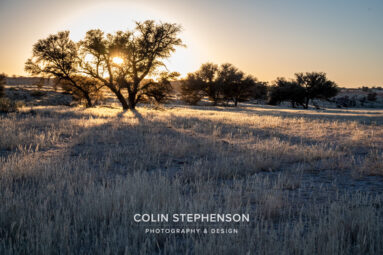 Environmental Photographer Africa