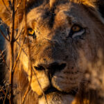Environmental Photographer Africa