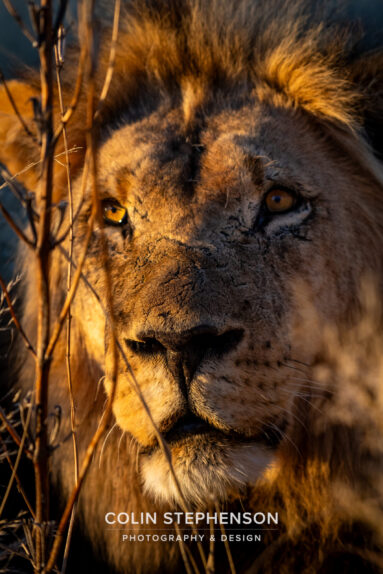 Environmental Photographer Africa