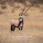 Environmental Photographer Africa