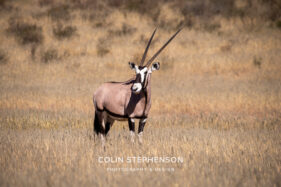 Environmental Photographer Africa