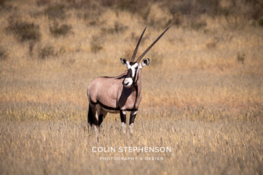 Environmental Photographer Africa