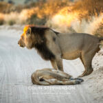 Environmental Photographer Africa