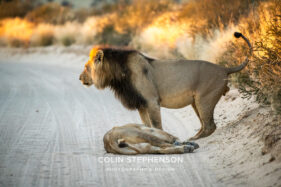 Environmental Photographer Africa