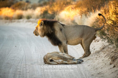 Environmental Photographer Africa