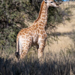 Environmental Photographer Africa