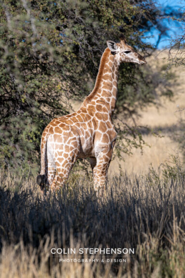Environmental Photographer Africa