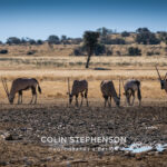 Environmental Photographer Africa