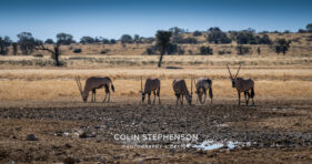 Environmental Photographer Africa