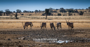 Environmental Photographer Africa